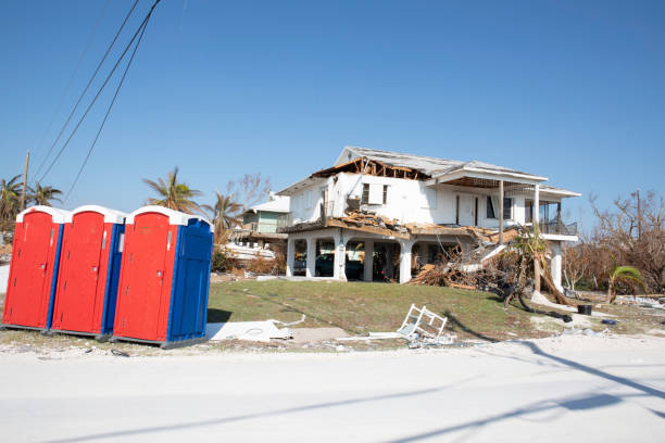 Best Tree Risk Assessment  in Collierville, TN